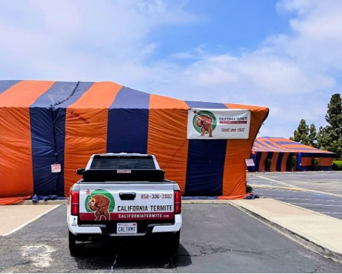 termite fumigation
