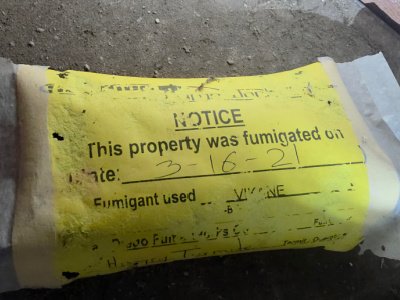 termite fumigation