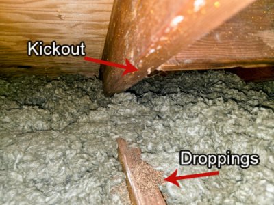 termite treatments