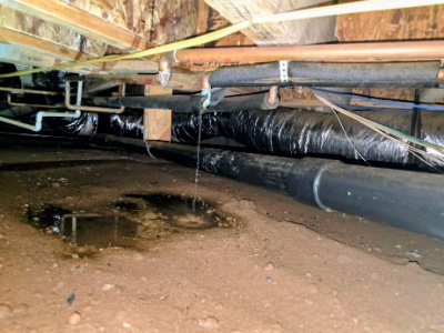 termite inspections