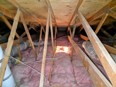 termite control