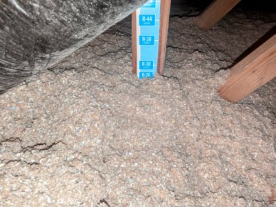 termite control