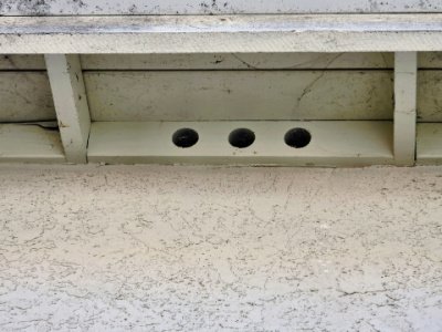 termite control