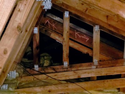 termite treatments