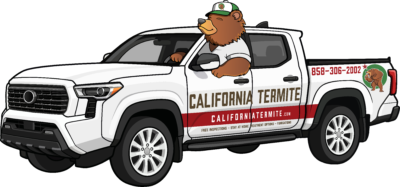 termite control