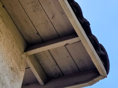 termite damage
