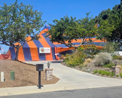 termite fumigation
