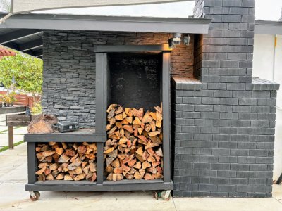 termite control