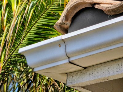 termite control