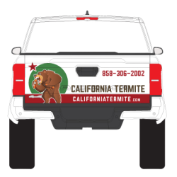 termite control