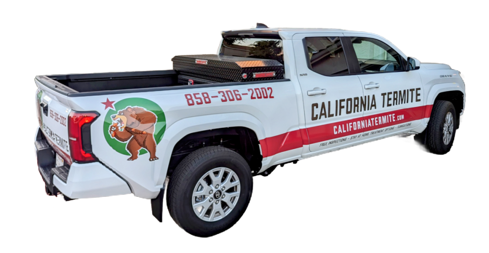 San Diego termite control